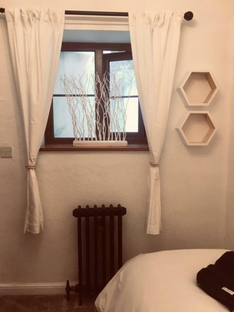 טורקוואי Meadfoot Cottage מראה חיצוני תמונה